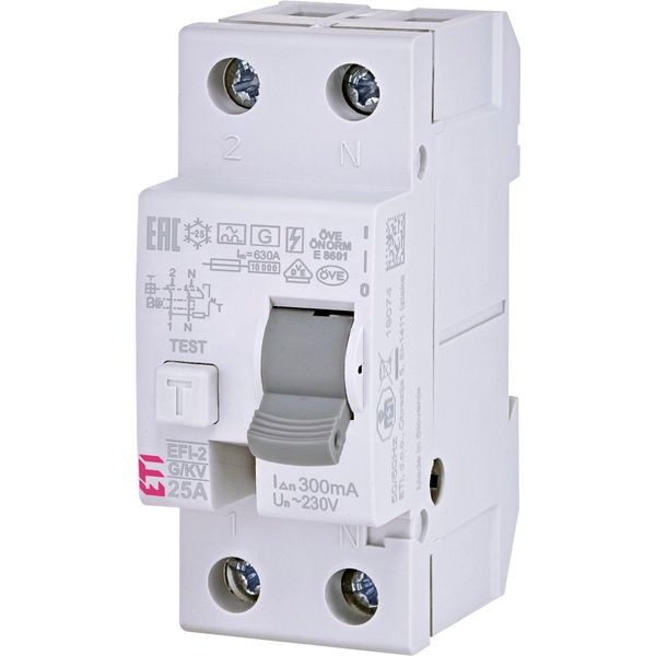 EFI-2 A G/KV 25/0.3 residual current circuit breaker image 1