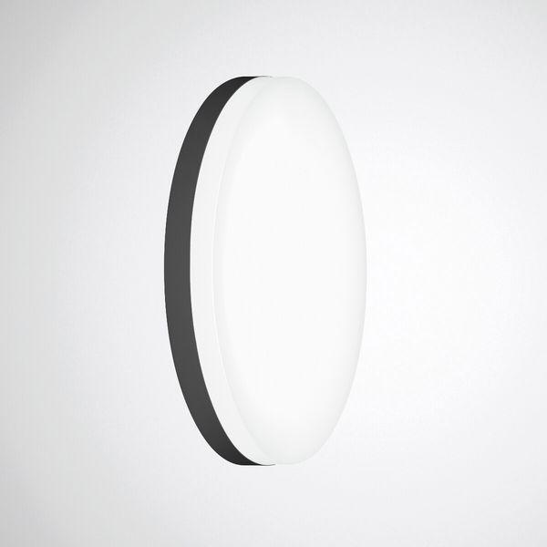 Mechanical accessories Olisq R Black 8271000 image 1