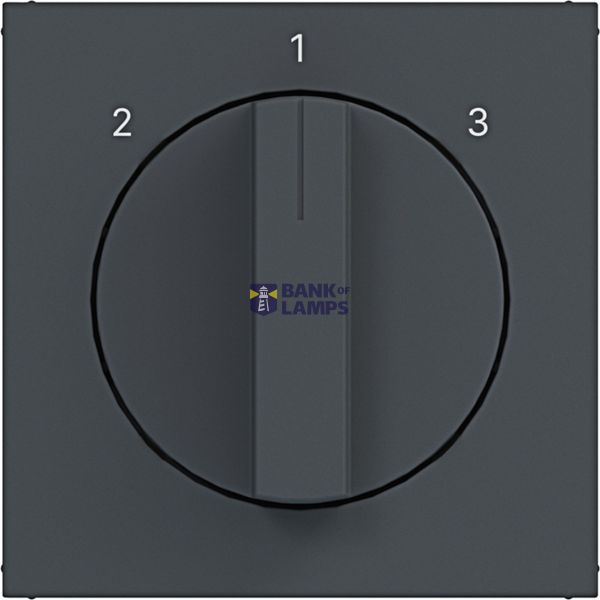 Central plate 3-position switch, A.x/C.x, anthracite image 1