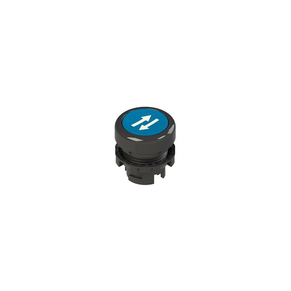 Spring-return blue flush pushbutton with marking image 2