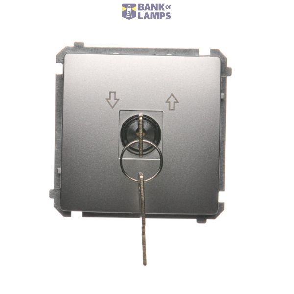 Roller blind momentary switch with key, Silver matt, metalic, 5A image 1
