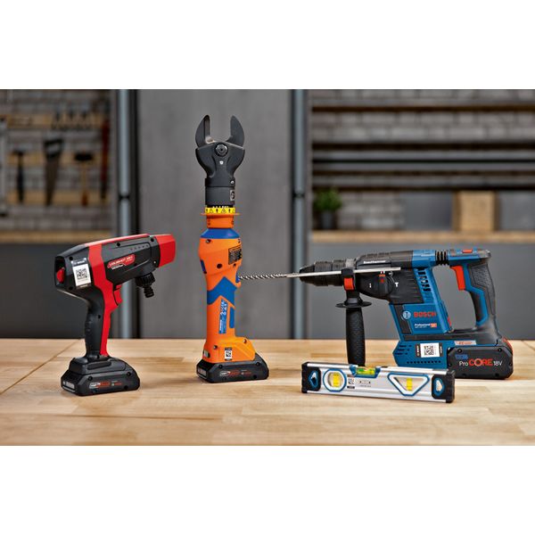 ID Label Large (50pcs) image 3