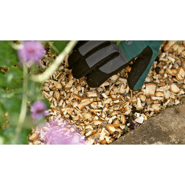 AXT RAPID 2200 image 2