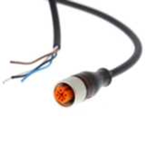 Sensor cable, M12 straight socket (female), 4-poles, PUR cable, 5 m AA018071C image 2