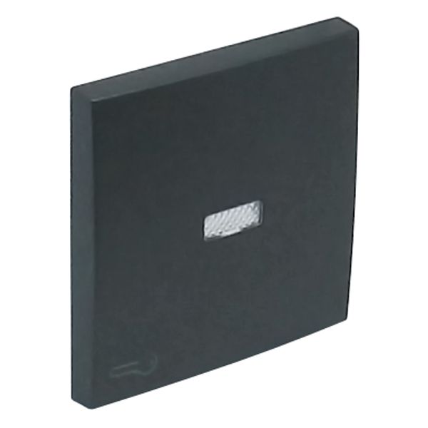 ROCK F/LIGHT SWITCH/PUSH-BUT W/LOCK SYMB GRAY image 1