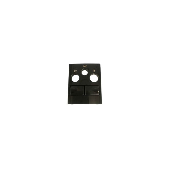 COV PLATE F/R-TV-SAT-2XRJ45 MULT SOCKET ANTH image 1