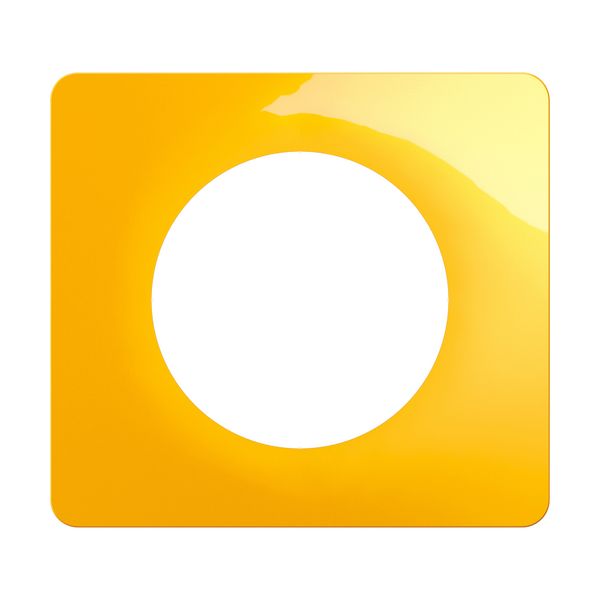 PLATE 1 GANG SAFFRON YELLOW image 6