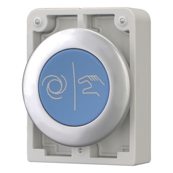 M30C-FD-B-X217 Pushbutton, RMQ-Titan, Flat, momentary, Blue, inscribed, Metal bezel image 4