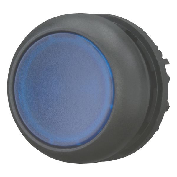 M22S-DL-B Illuminated pushbutton actuator, RMQ-Titan, Flush, momentary, Blue, Blank, Bezel: black image 4
