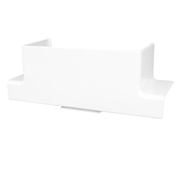 DERIVATION 100X50 image 1