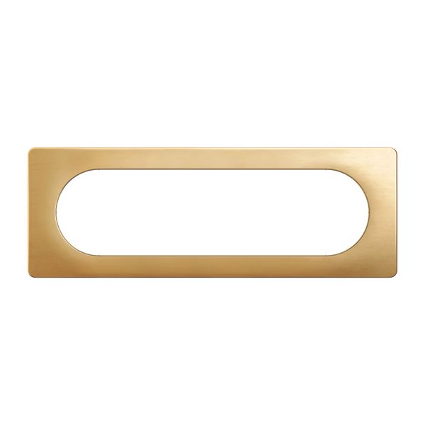 PLATE 3G LARGE SATIN BRASS image 4