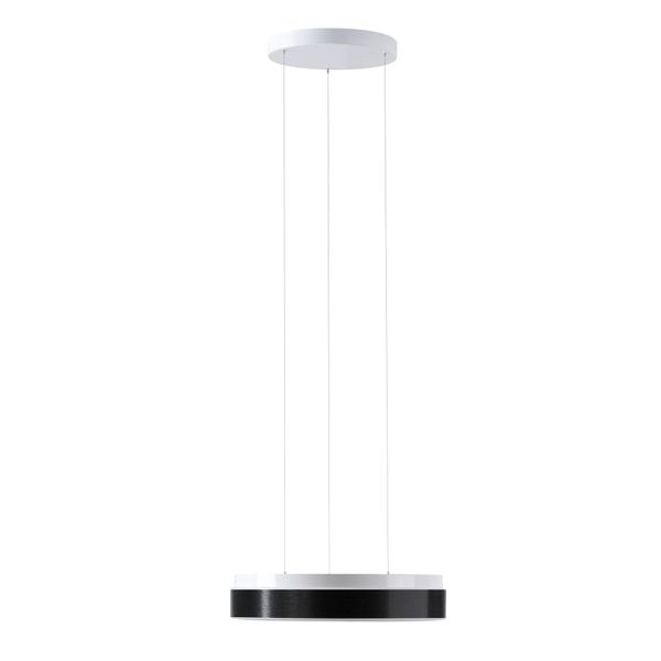 LED-1L16C07ZLE11/PC23C/L100 DALI 3000 image 1