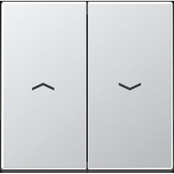 2-gang rocker with symbols A595PAL image 4