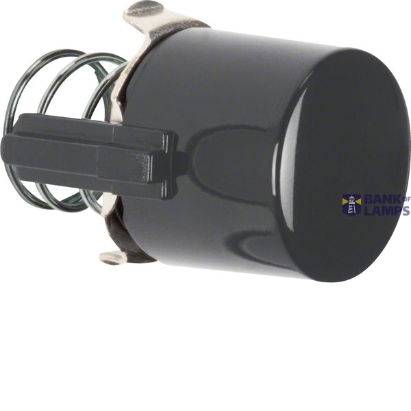 Button for push button/light signal element E10, black image 1