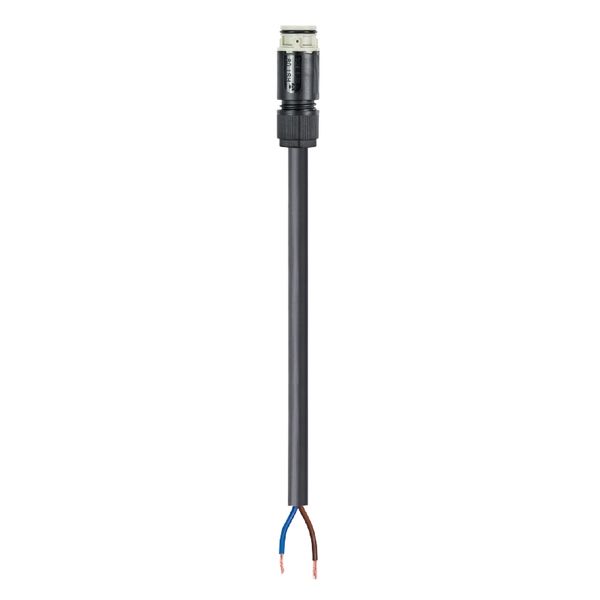 CABLE ASSEMBLY RST08I3/2KSB- 75 L 15KG image 1