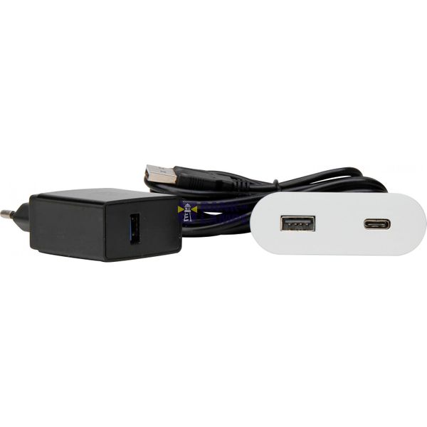VersaPICK, oval, matt white, USB-C, image 1