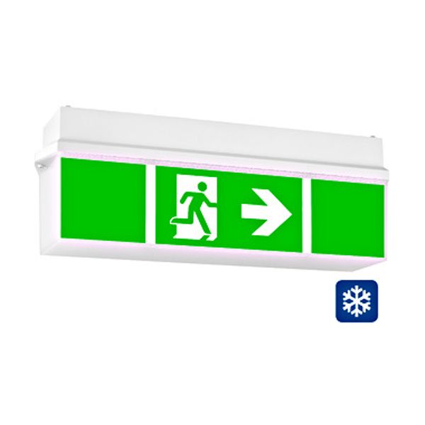 Emergency lum. KWI Wireless 4x1W ERTLED 3h 230V ceiling TT image 1