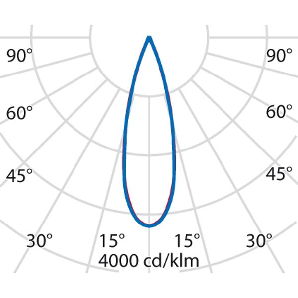 TYK+ 20 46 C/M 840 ANTHRACITE DALI image 5