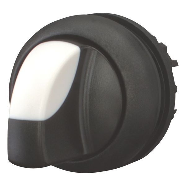 M22S-WRK Changeover switch, RMQ-Titan, With thumb-grip, maintained, 2 positions, Bezel: black image 12