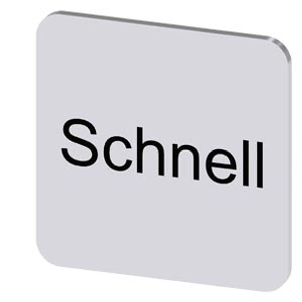 Labeling plate 22x22 mm, silver-colored label, labeling: schnell image 1