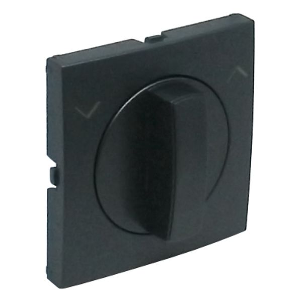 C.PLAT F/ROTARY PUSH-BUT/TWO-WAY SWITCH GRAY image 2