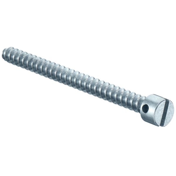 Sealing screws L=15 mm, with cross hole in screw head image 1