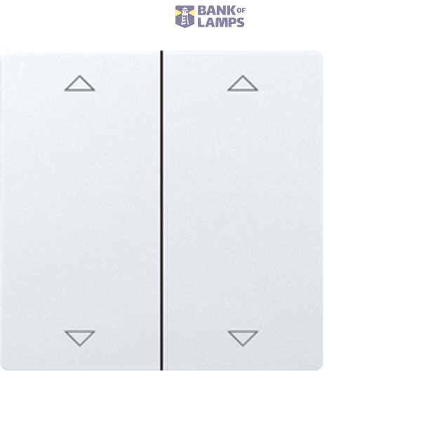 Double rocker laser engraved for flat wireless pushbutton E-Design65 pure white glossy image 1