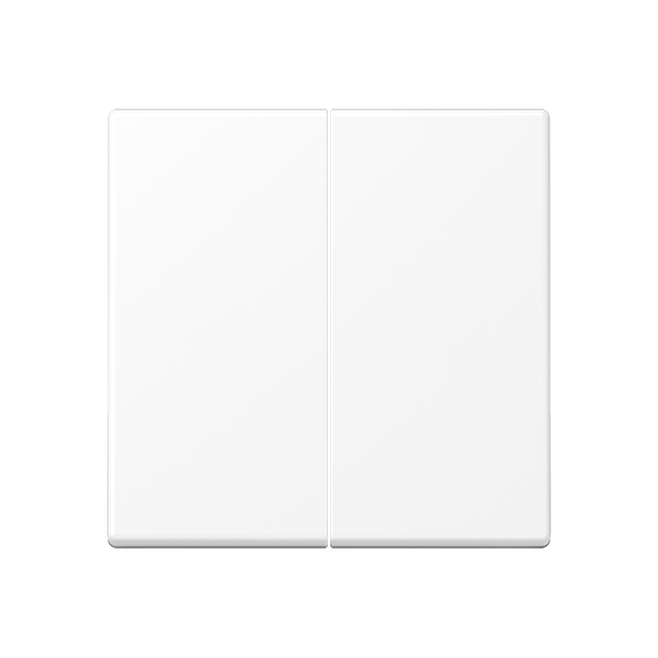 2-gang rocker A102BFWWM image 1