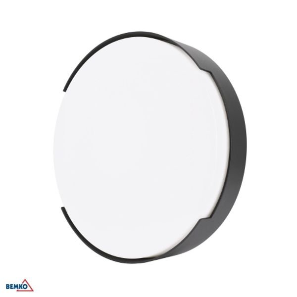 LED OUTDOOR DECORATIVE LIGHTS VALANT 16W 4000K 1180LM IP65 250X62MM CIRCLE GRAPHITE image 1