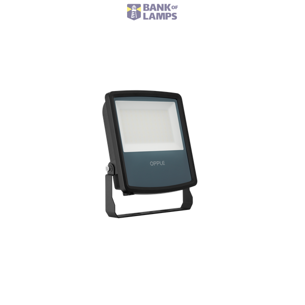 LEDFlood-E2 Re199-30W-4000-BL image 2