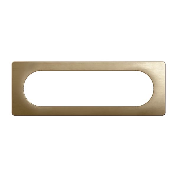 PLATE 3G LARGE SATIN BRONZE image 4