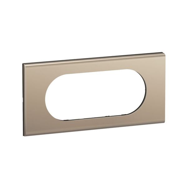 PLATE 2G LARGE SATIN NICKEL image 2