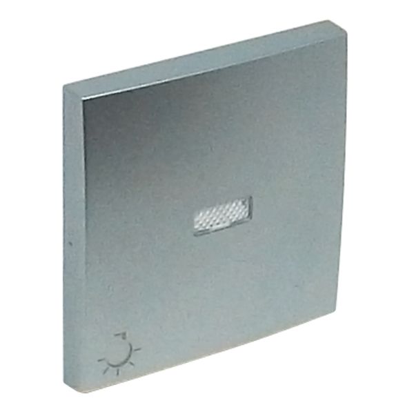 ROCK F/LIGHT SWITCH/PUSH-BUT W/LAMP SYMB ALUM image 1