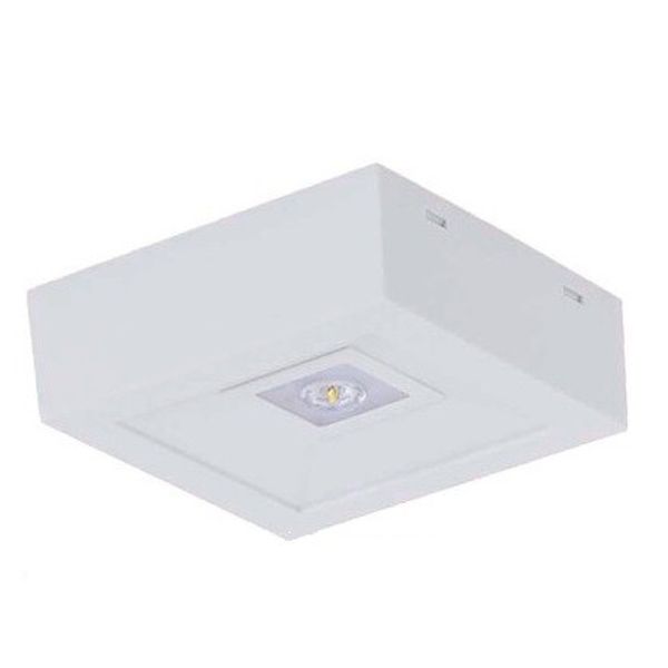 LOVATO NO NM1h Emergency luminaire IP41 image 1