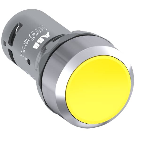 CP1-30Y-11 Pushbutton image 1