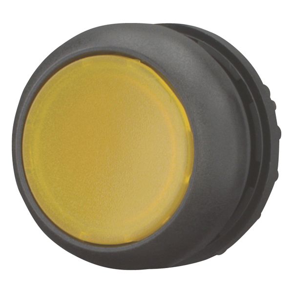 M22S-DL-Y Illuminated pushbutton actuator, RMQ-Titan, Flush, momentary, yellow, Blank, Bezel: black image 4