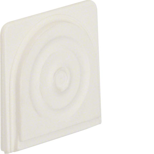 Cable + tube entry, W.1, p. white, matt, plastic image 1