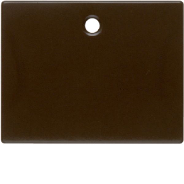 Centre plate for pullcord switch/pullcord push-button, arsys, brown gl image 1