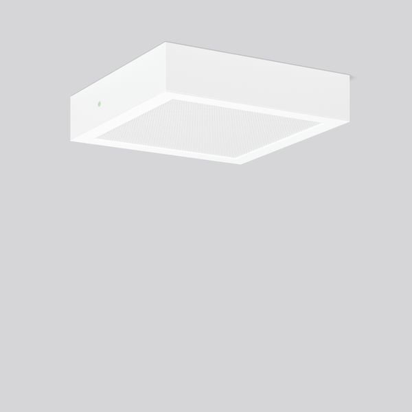 TOLEDO FLAT+ square, 16 W, 1950 lm, 830, 840, white, on/off Surface mo image 2