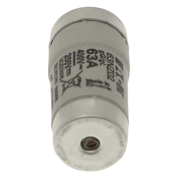Fuse-link, LV, 63 A, AC 400 V, D02, gL/gG, IEC, time-delay image 26