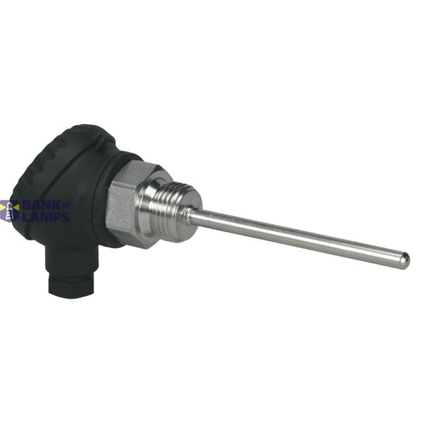 RVS Dompelvoeler, insteeklengte 250mm image 1