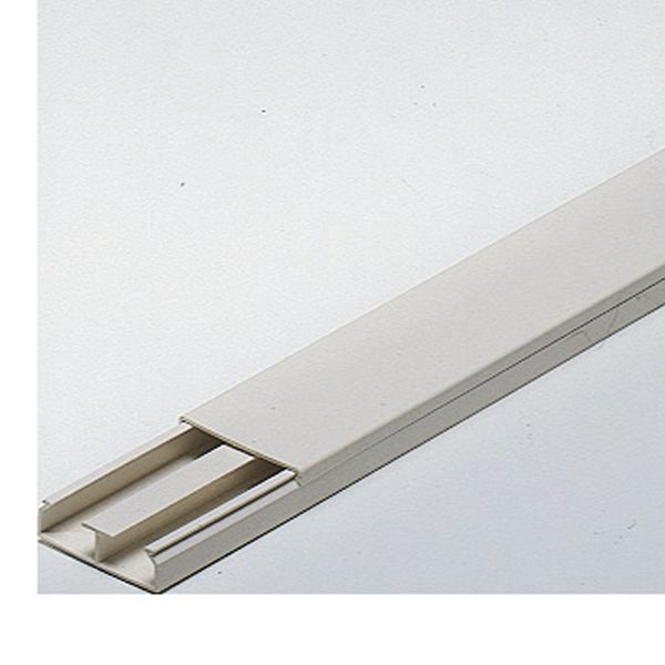 MINI-T CABLE CONDUIT WITH SEPARATION 18x30 2M RAL9010 image 2