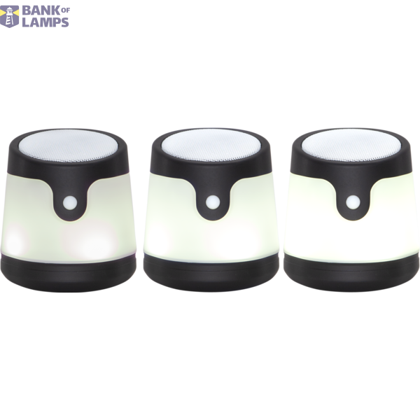 Outdoor Decoration Voice image 2