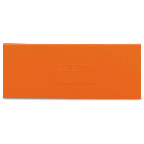 Separator plate 2 mm thick oversized orange image 1