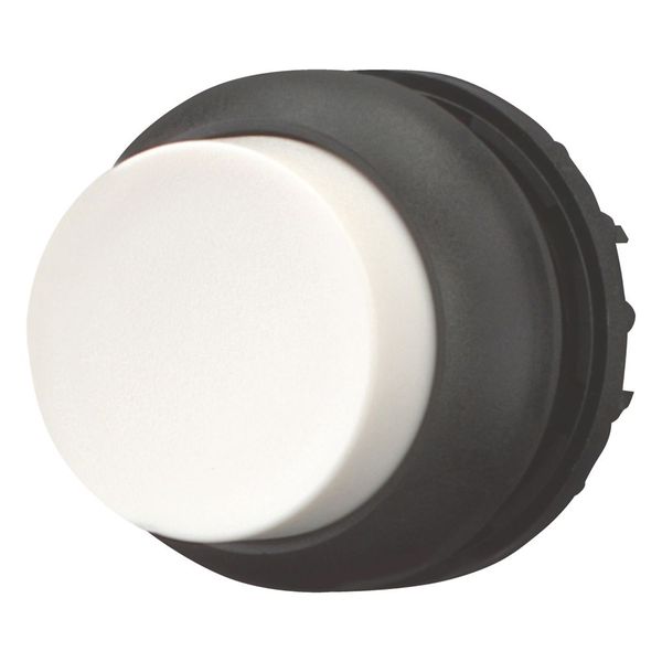 M22S-DH-W Pushbutton, RMQ-Titan, Extended, momentary, White, Blank, Bezel: black image 6