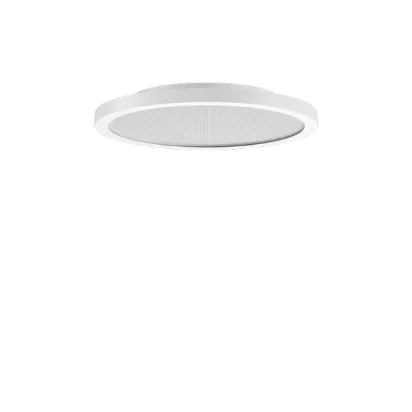 FL R+ 333 SM 8/23 S/B 840 WH9016 DALI MP image 1