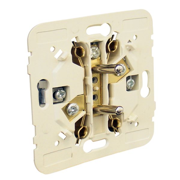 DOUBLE EARTH SOCKET (FRENCH TYPE) image 1