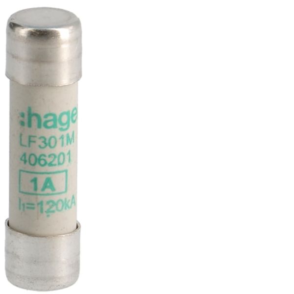 Cylindrical fuse-links for industrial applicationsVEL.10X38,1A AM,500VAC LF301M image 1