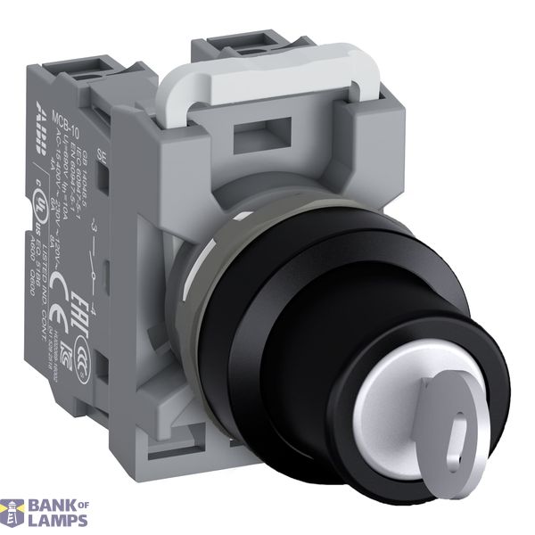 OVR 06Q/PT module image 1