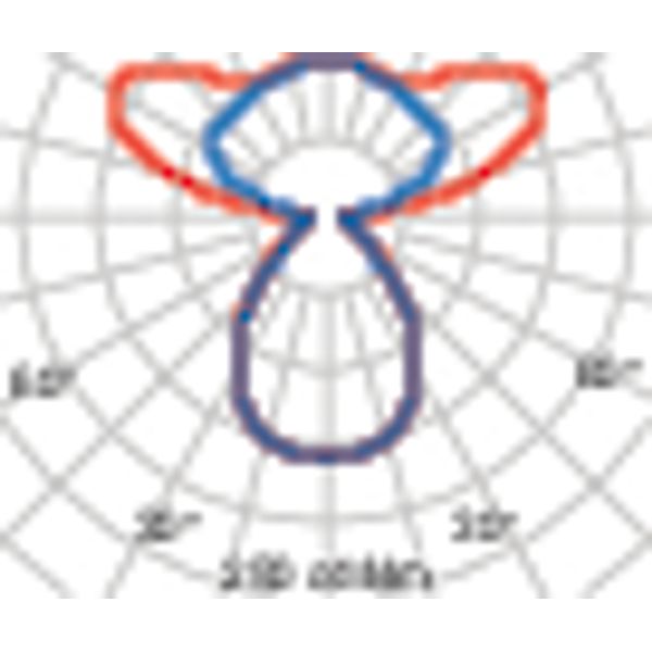 SL720+PL RXL 41 S/C 830 GREY SEIR MP image 3